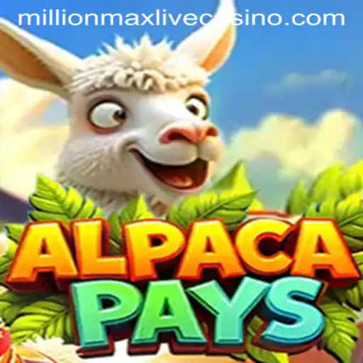 AlpacaPays: A Million-Max Adventure Through the Andes